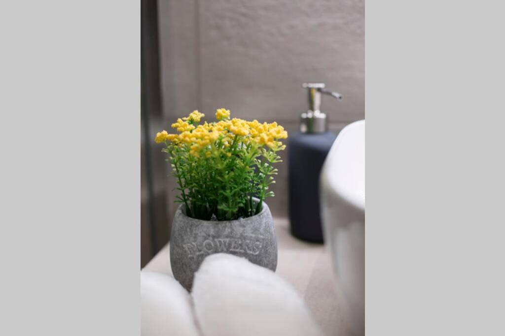 City Center Modern Renovated Apartment Athens Luaran gambar